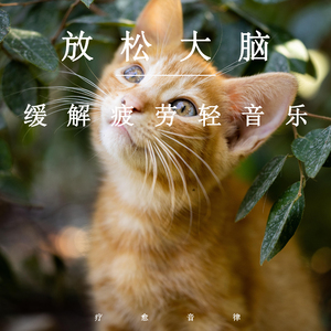 欧美老头插逼使劲怼
